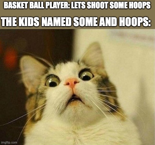 Scared Cat Meme Imgflip