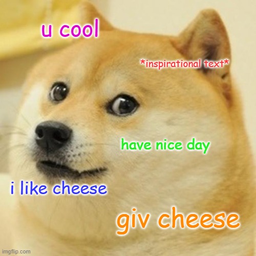 doge wants cheese Imgflip