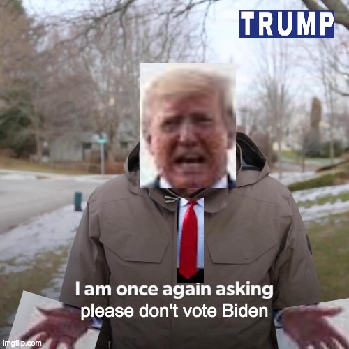 ya shouldve voted for me Imgflip