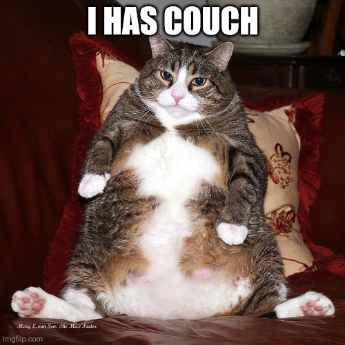 I has couch Imgflip