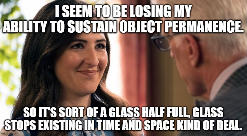 Object Permanence Imgflip