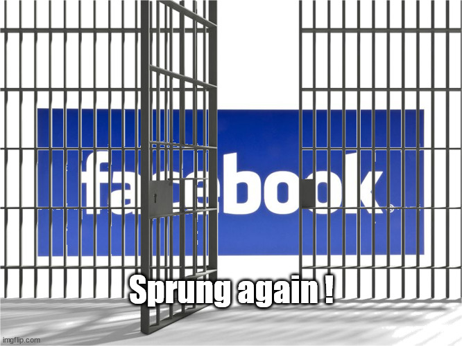 facebook jail Memes & GIFs Imgflip