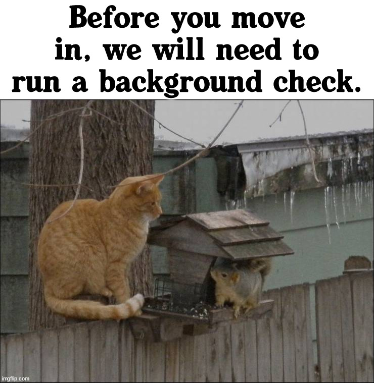 Moving on Imgflip