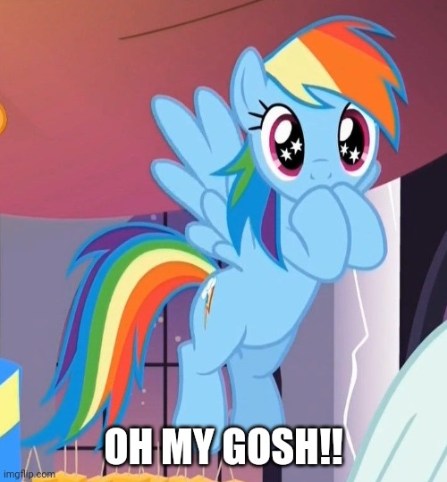 Dog walking on water Imgflip