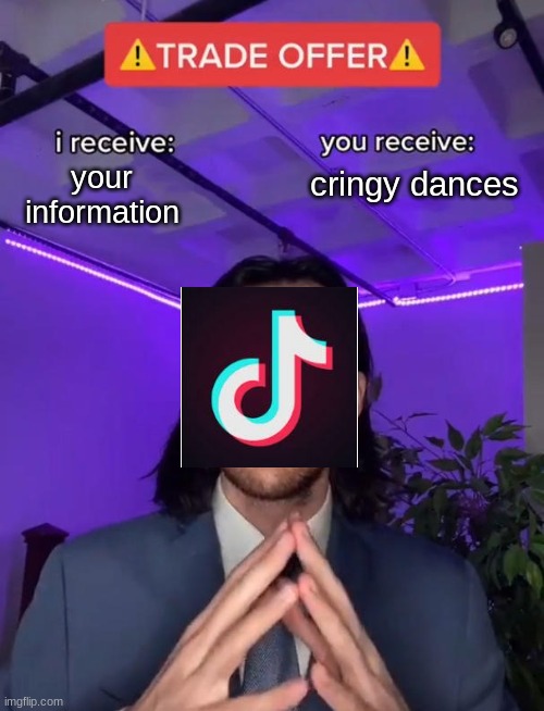 tik tok in a nutshell Imgflip