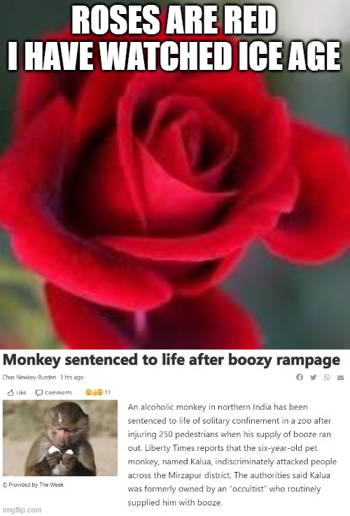 Image tagged in roses are red Imgflip