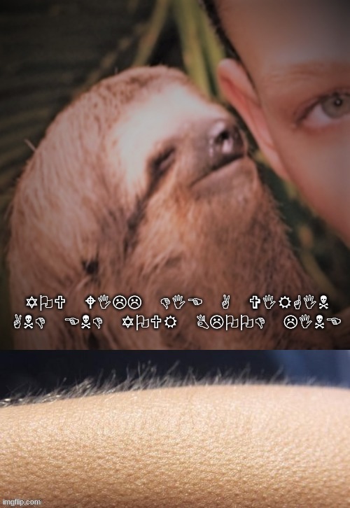 Imgflip