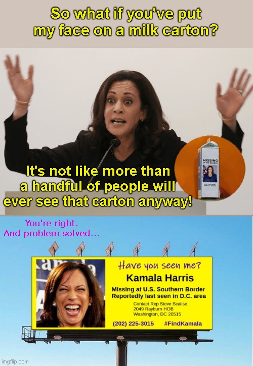 Kamala reacts to her face put on a milk carton Imgflip