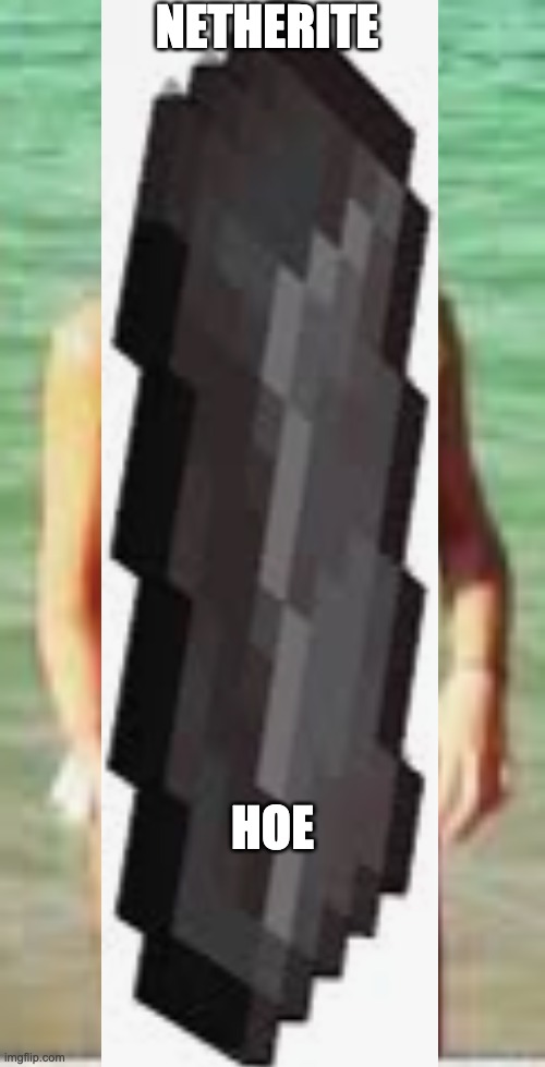 The TRUE netherite hoe Imgflip