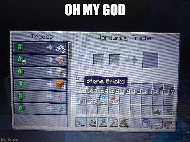 This is not I found this wandering trader in my hardcore