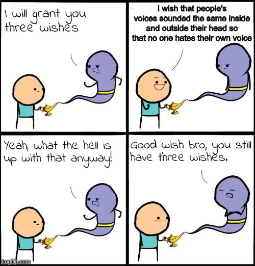 i honestly hate the sound of MY voice Imgflip