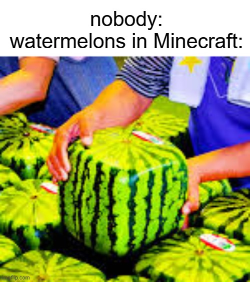 Minecraft watermelons Imgflip