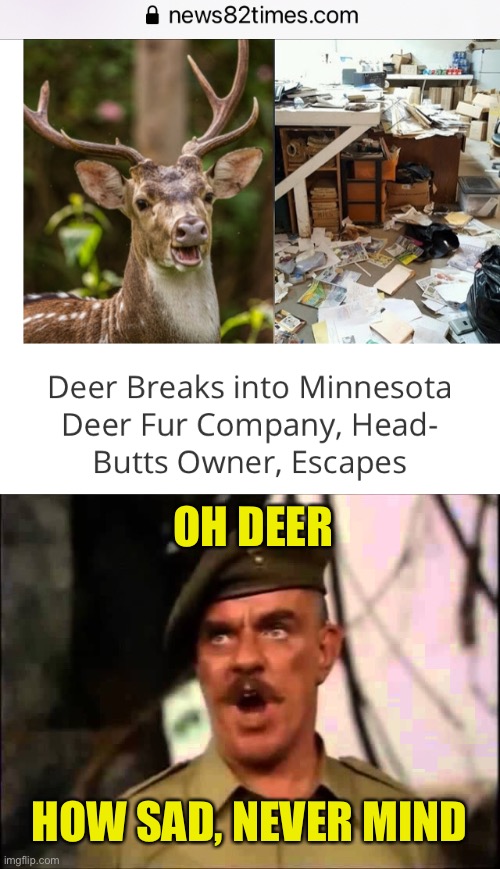 deer Memes & GIFs Imgflip