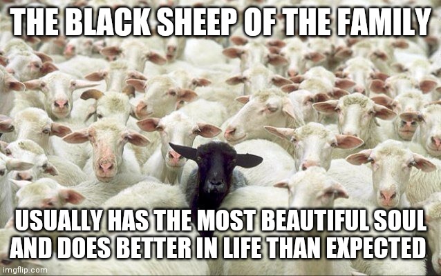 black sheep of the family meme Black Sheep Of The Family Memes & Gifs - Imgflip