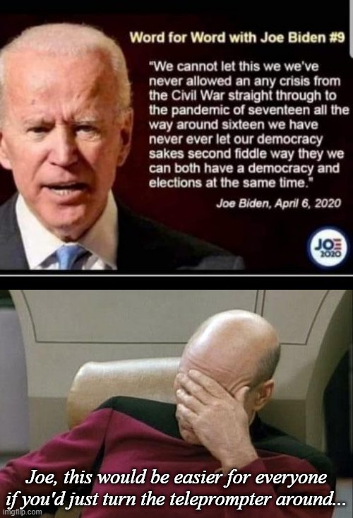 Image tagged in memes,captain picard facepalm,joe biden,stupid liberals