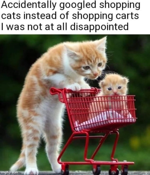 why don’t we have both? Imgflip