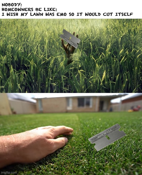 Wouldn’t it be nice Imgflip