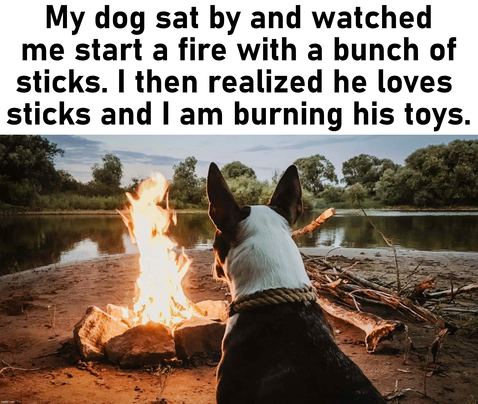 dogs Memes & GIFs Imgflip