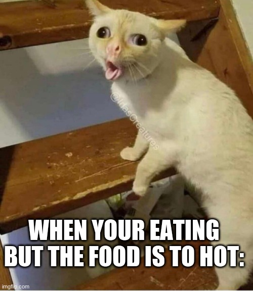 when the food is to hot Imgflip