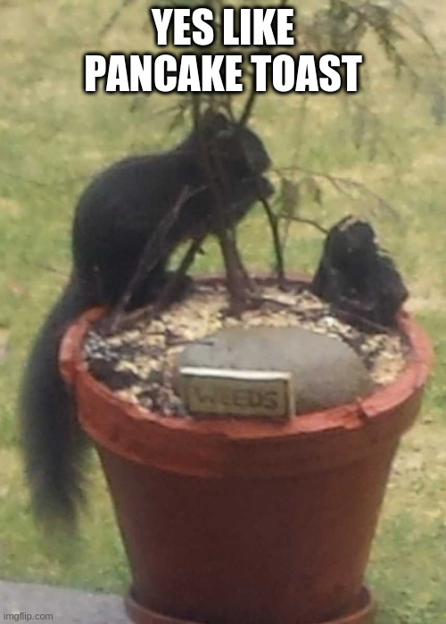 waffles are just pancakes Imgflip