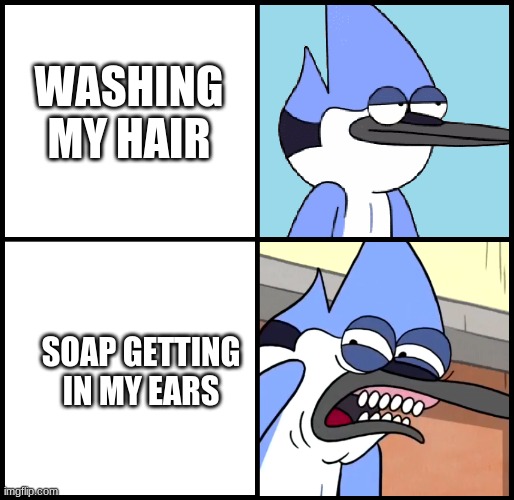 Disgusted Mordecai Imgflip