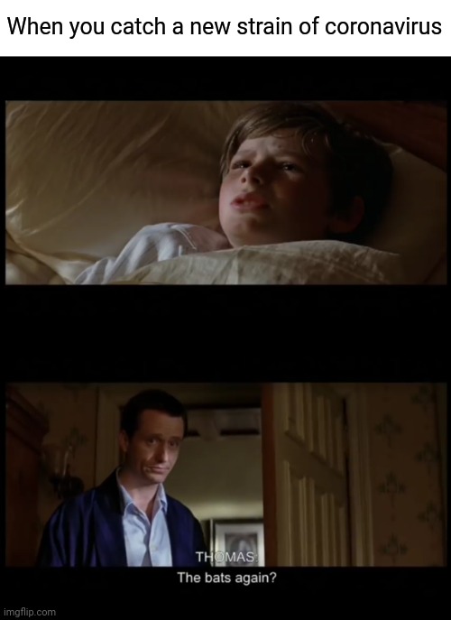 Patient Zero r/NolanBatmanMemes