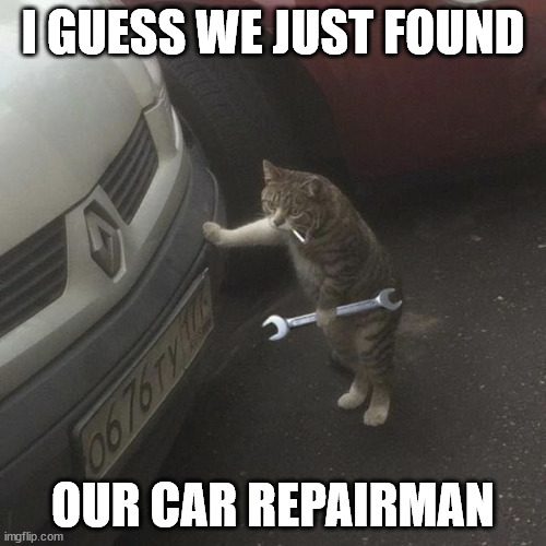 or repaircat! Imgflip