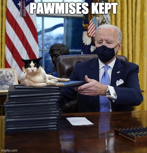PAWMISES KEPT Imgflip