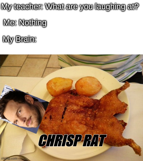 Chris Pratt or Crisp Rat Imgflip
