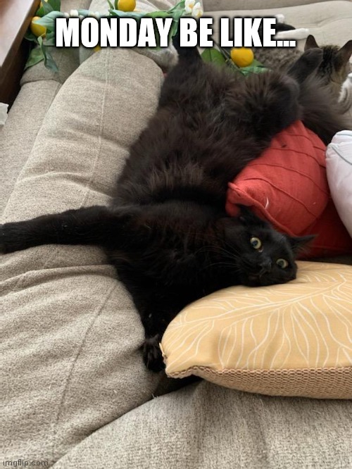 Monday Be Like... Imgflip