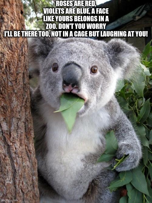 Surprised Koala Meme Imgflip