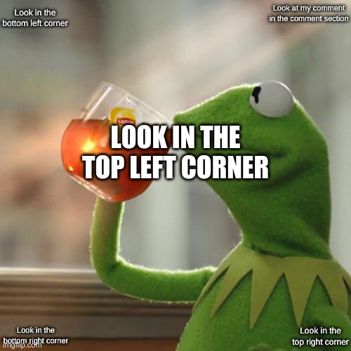 kermit the frog Memes & GIFs Imgflip