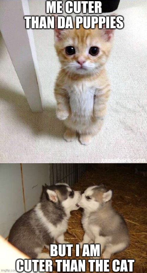 Are Cats Cuter Than Dogs