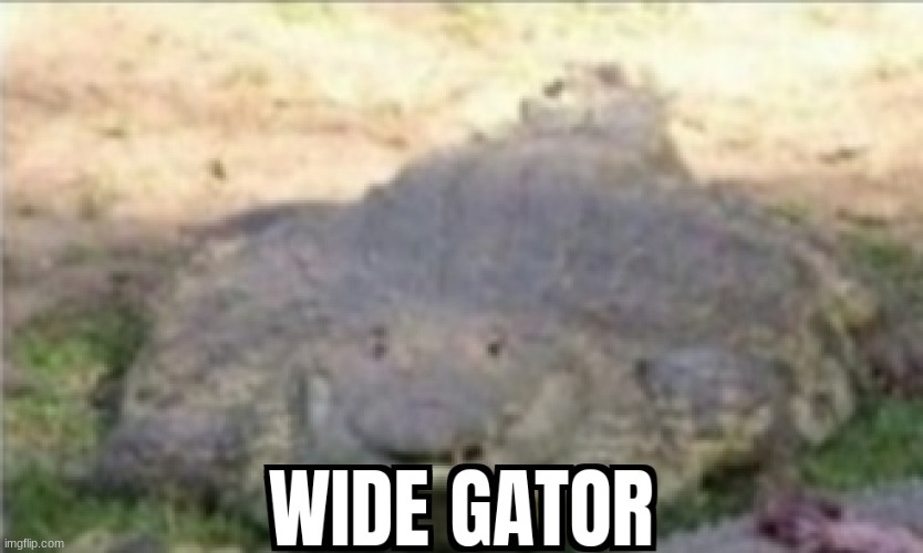 WIDE GATOR Imgflip