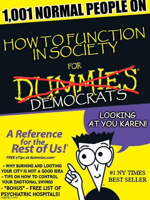 For dummies book Imgflip