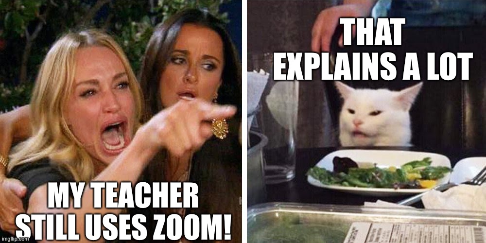 Teacher uses Zoom Imgflip