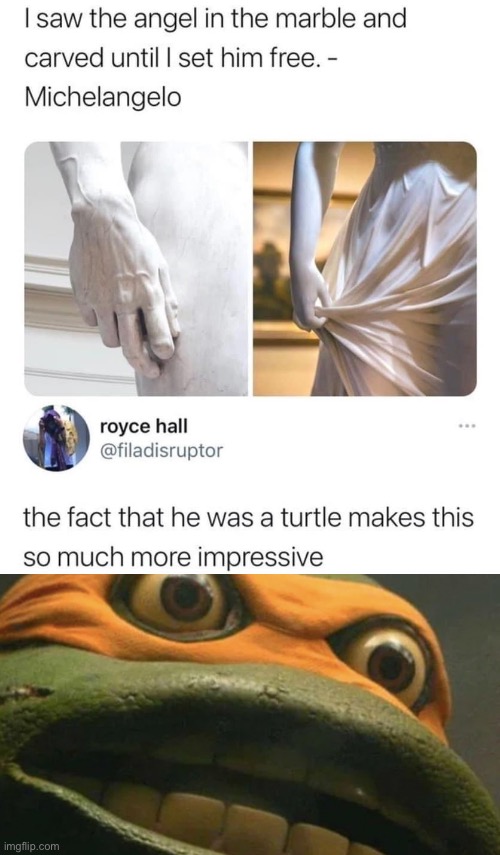 teenage mutant ninja turtles Memes & GIFs Imgflip