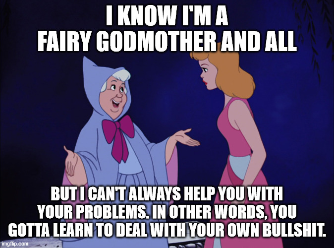 Cinderella Fairy Godmother Imgflip