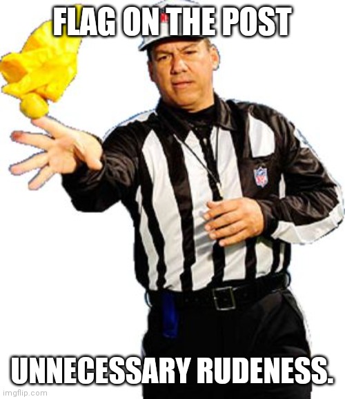 flag on the play referee Memes Imgflip