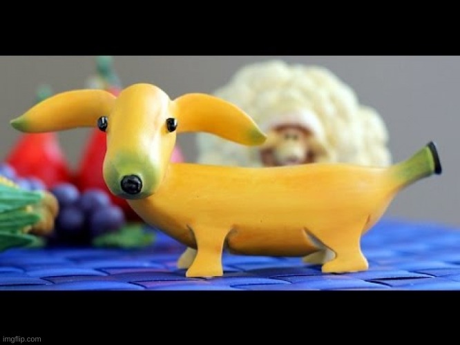 Bannana dog Imgflip