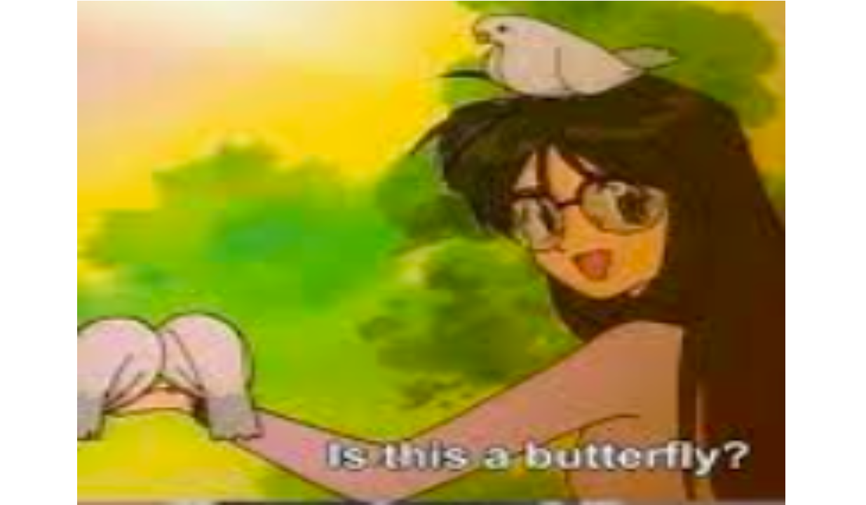 Is this a butterfly? Blank Template Imgflip