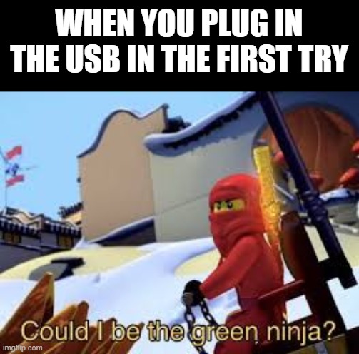 Could I be the Green Ninja? Imgflip