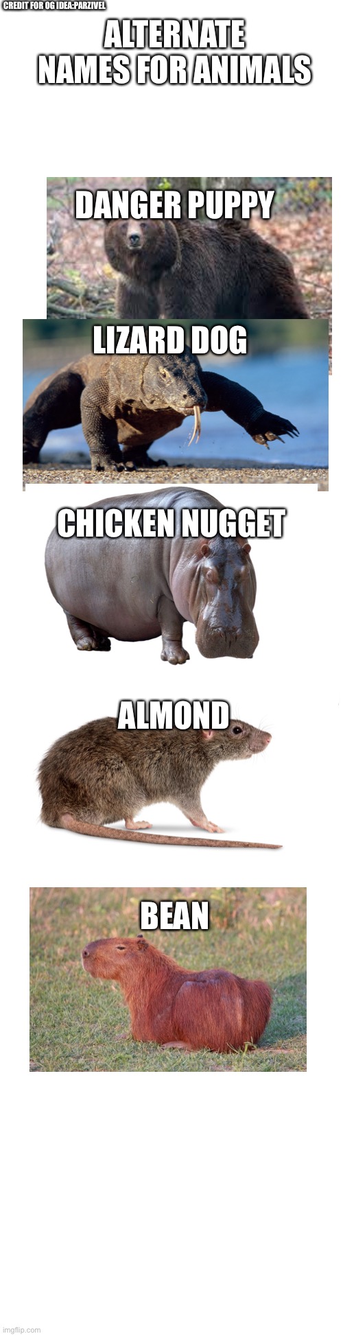Alternate names for animals Imgflip