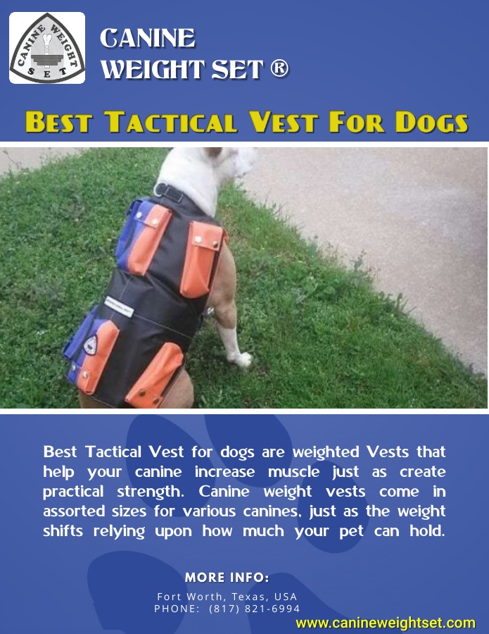 Best tactical vest for dogs Meme Generator Imgflip