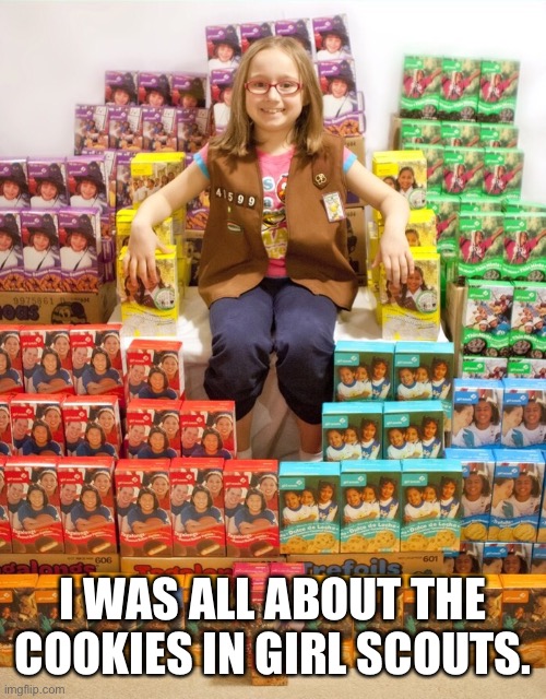 I was all about the cookies in Girl Scouts. Imgflip