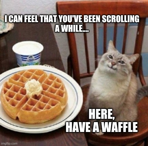 Have a waffle w Imgflip