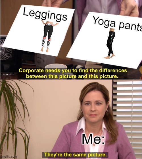 "NOOOO THOSE ARE YOGA PANTS" I really dont see a difference Imgflip