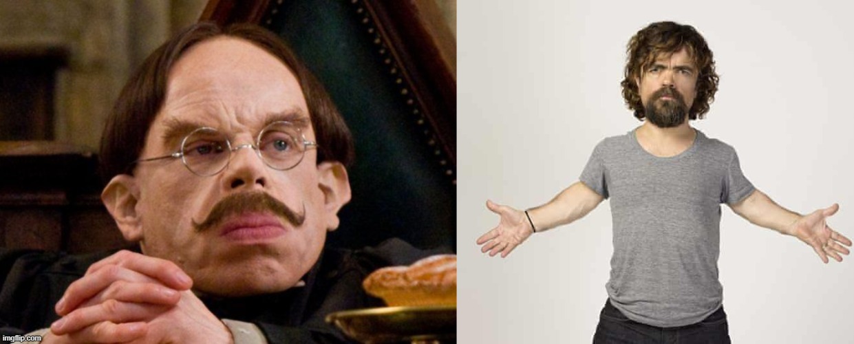 All Harry Potter HBO Max Series Fan Castings, Ranked
