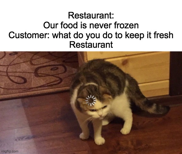 Image tagged in cat buffering Imgflip