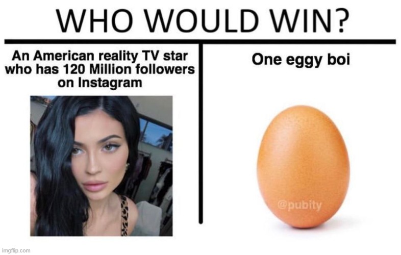 Image tagged in meme,funny,egg,eggs Imgflip